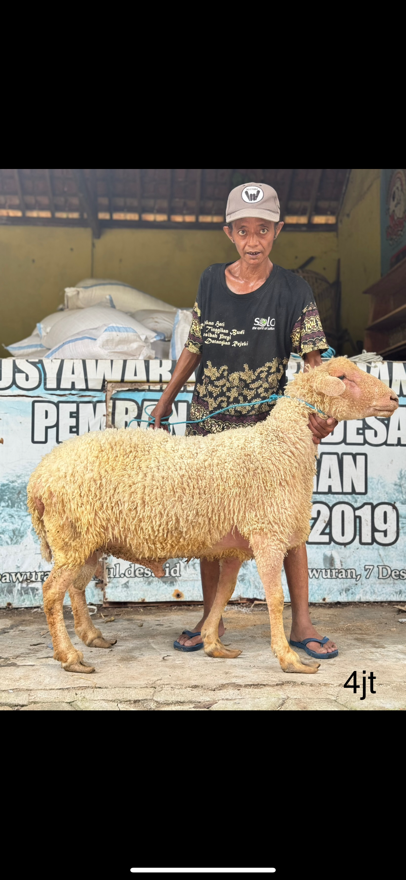 Sapi